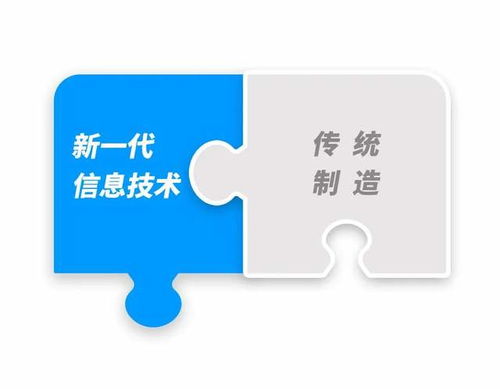 洞察产业升级 从一家企业的路去看智造趋势